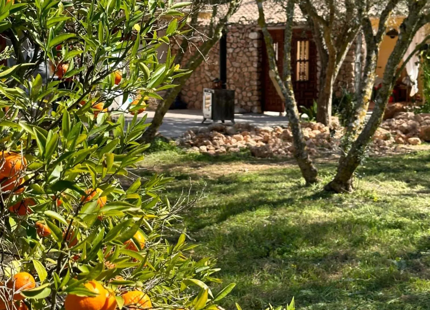 Casita Balear Apartment Algaida   Algaida (Mallorca)
